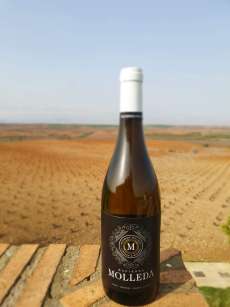 Hacienda Molleda Blanco Garnacha