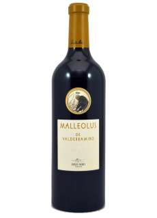 Malleolus de Valderramiro