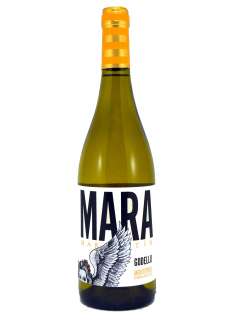 Mara Martín Godello