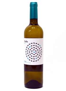 Mesta Blanco