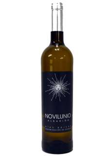 Novilunio