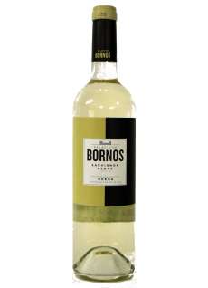 Palacio de Bornos Sauvignon Blanc