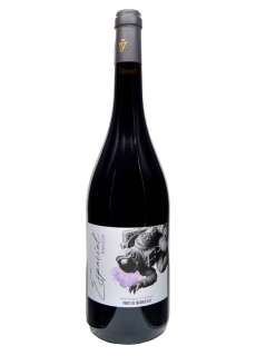 Punane vein Espacial Tempranillo y Syrah