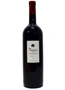 Punane vein Fagus Magnum