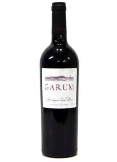 Punane vein Garum