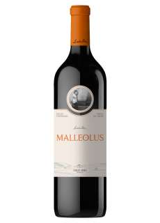 Punane vein Malleolus