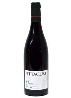 Punane vein Pittacum