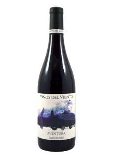 Punane vein Vinos del Viento - Aventura