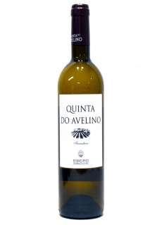 Quinta do Avelino