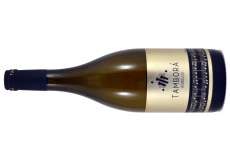 Tamborá Godello