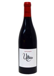 Ultreia Saint Jacques