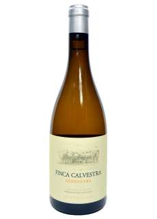 Valge vein Finca Calvestra Merseguera